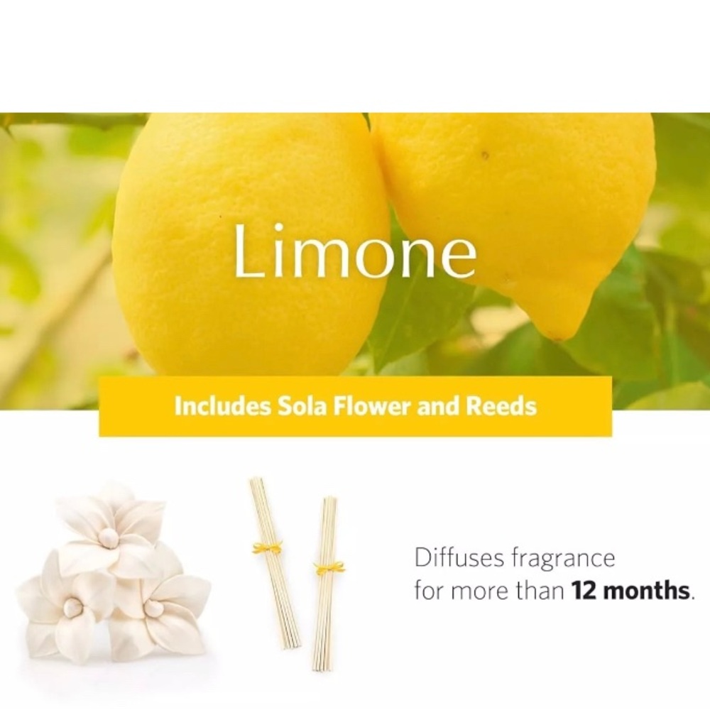 Monique Lhuillier Citrus Limone AirEssence Diffuser - opened box - Picture 12 of 14